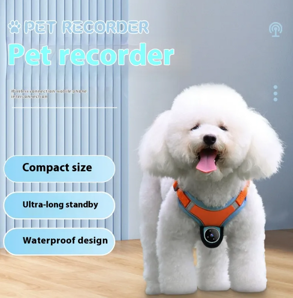 Pets Recorder Pet Tracker Collar Dogs And Cats